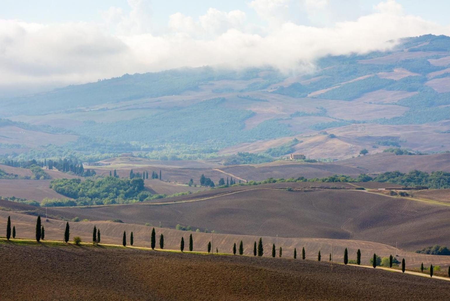 Villa Podere Belvedere Siena Kültér fotó